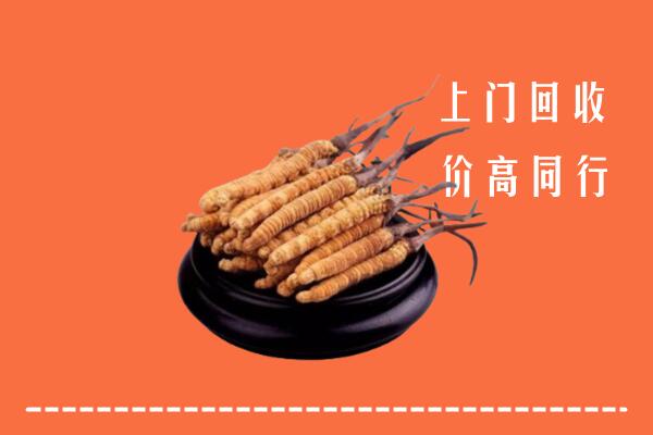 高价求购：晋中左权回收散虫草