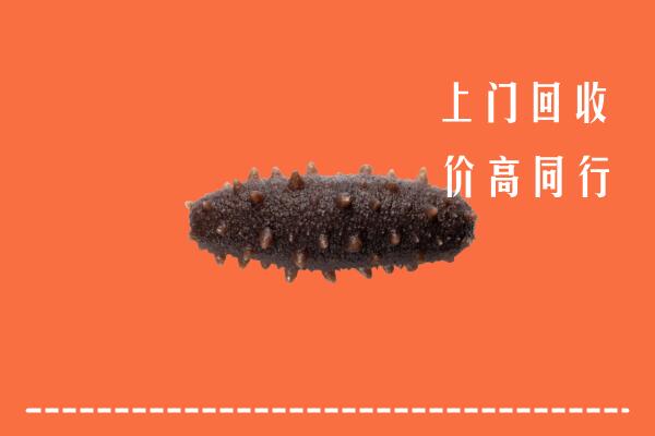 高价求购：晋中左权回收海参